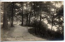 Postcard #87  Along the Shore